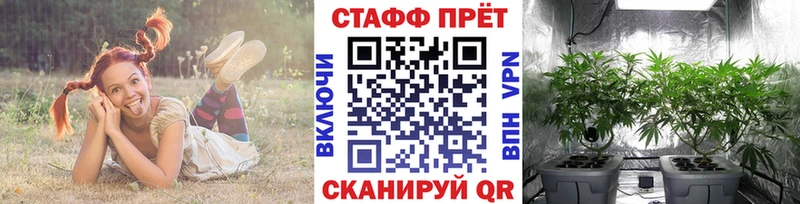 Цена Чердынь ГАШИШ  Псилоцибиновые грибы  MDMA  Меф мяу мяу  Экстази  Cocaine  Каннабис 