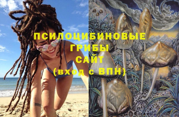 спиды Армянск