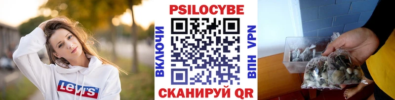 Псилоцибиновые грибы прущие грибы  darknet какой сайт  Чердынь 